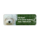 Search for maltese dog return address labels Dogs