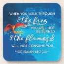 Search for fire coasters Phoenix
