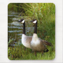 Search for mating mouse mats Mates