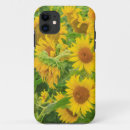 Search for wa iphone cases Usa
