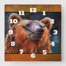 Search for wildlife clocks Brown bear