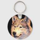 Search for state native key rings States