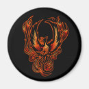 Search for phoenix magnets Magic