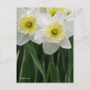 Search for delicate vertical postcards Flower