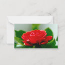 Search for dew cards Rose