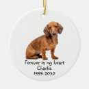 Search for dachshund memorial gifts Animal
