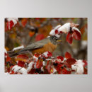 Search for flora fauna posters Scenic