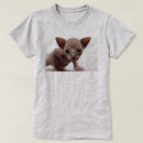 Search for sphynx clothing Kitten