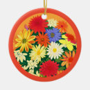 Search for aster christmas tree decorations Flowers