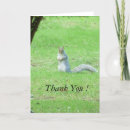Search for grey squirrel cards Nature photography
