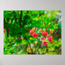 Search for green flowers posters Botanical