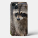 Search for mammals ipad cases Danita delimont