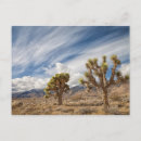 Search for two objects postcards Photography