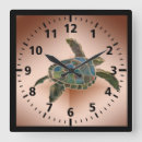 Search for ecology clocks Green