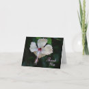 Search for fiji cards Flower