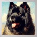 Search for bouvier posters Bouvier des flandres