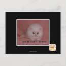 Search for i hate postcards I can has cheezburger