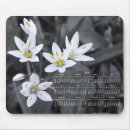 Search for 2012 photography Flower