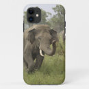 Search for indian elephant iphone cases Asia