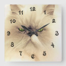 Search for persian clocks Cat