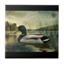 Search for duck tiles Vintage