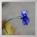 Search for chill posters Blue