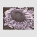 Search for mauve tissue paper Vintage