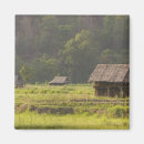 Search for rice magnets Asian