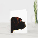 Search for white boxer dogs cards Animal