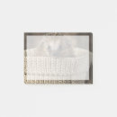 Search for hedgehog post it notes Mammal