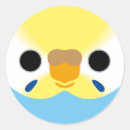 Search for budgerigar stickers Cute