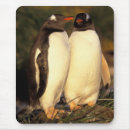 Search for gentoo penguin mouse mats Bird