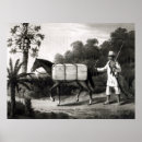 Search for cotton posters South