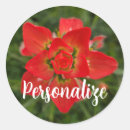 Search for paintbrush stickers Red