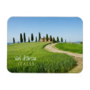 Search for cypress tree Italy