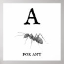 Search for ant posters Illustration