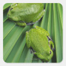 Search for frog stickers Vertical