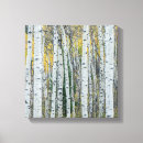 Search for aspen tree canvas prints Forest