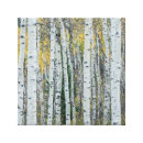 Search for aspen canvas prints fall