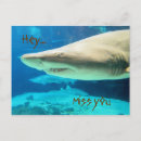 Search for miss you postcards Boyfriend