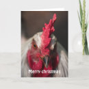 Search for hen christmas cards Rooster