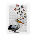 Search for birds rectangular magnets Animal lovers