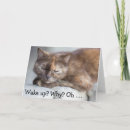 Search for wake cards Cat