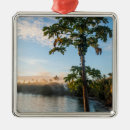 Search for fiji christmas tree decorations Beach