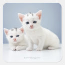 Search for staring stickers Animal