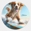 Search for dog sports stickers Surfing