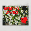 Search for wedding wishes postcards Marriage