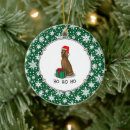 Search for irish setter christmas tree decorations Santa