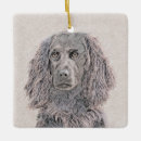 Search for boykin spaniel christmas tree decorations Swamp poodle
