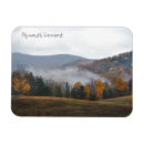 Search for magnetic fields cards Autumn